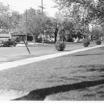 Street Scene