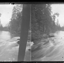 Negative, Glass Plate