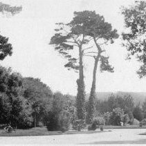 Del Monte Grounds, Monterey County, California, 1906