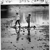 American River low water