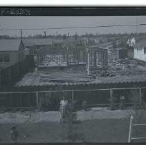 Negative, Safety, unknown