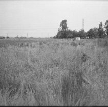 Street scene on Sacramento Blvd. and Franklin Blvd