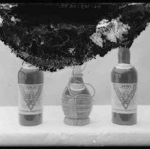 Negative, Glass Plate