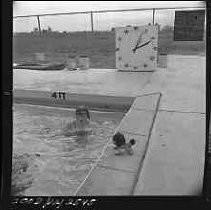 Negative, Safety, Unknown