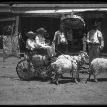 Negative, Glass Plate