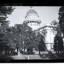 Negative, Safety, unknown