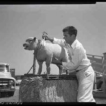 Negative, Safety, Unknown