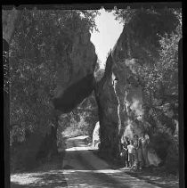 Calaveras Big Trees park