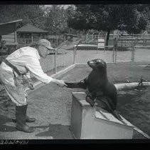 Negative, Safety, Unknown