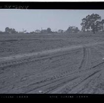 Negative, Safety, unknown