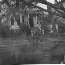 Wind storm damage in 1938