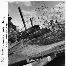 Remains of an old sailing vessel jut from the San Joaquin River near Antioch