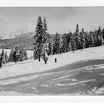 Skiing at Soda Springs; "Buy a Bomber" benefit