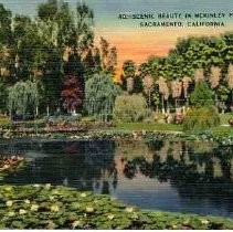 Scenic Beauty in McKinley Park, Sacramento, California