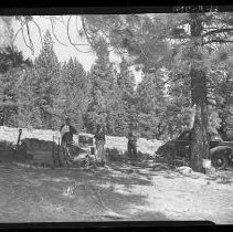 Three men camping in the woods