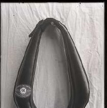 Negative, Glass Plate