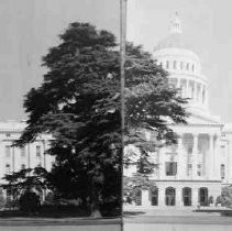 View of the Capitol Building from 10th Street