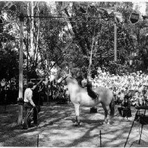 "Annual Children's Circus"