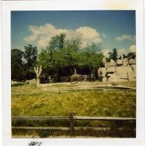 Elephant in Outdoor Setting