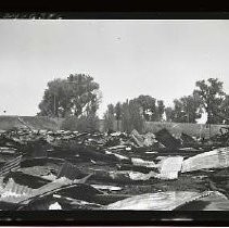 Negative, Safety, unknown