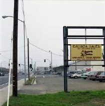 Richards Blvd. Tree planting beautification project