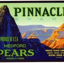 Pinnacle Brand