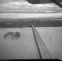 Negative, Safety, Unknown