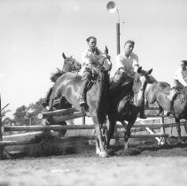 Horse Jumping