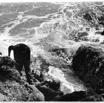 View of Mendocino Headlands State Park, Mendocino County