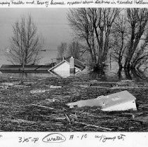 Floating Debris in Floodwater
