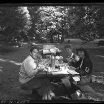 Three people on a picnic