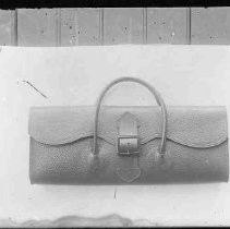 Negative, Glass Plate