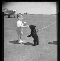 Negative, Safety, Unknown