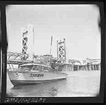 Negative, Safety, Unknown