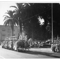 Pony Express Parade down K Street during the "re-run" of the Pony Express