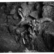 Drake's Bay. "Cattle Skull, possible Drake landing, Drakes Bay, California."