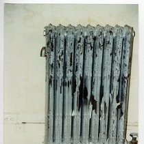 Print, Photographic, Color