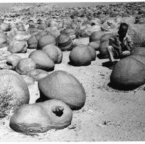 View is of the "Pumkin Patch" at the Anza-Barrego Desert State Park