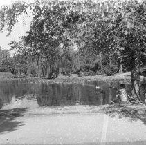 William Land Park pond