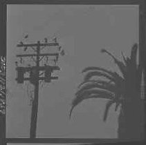 Negative, Safety, Unknown