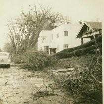 Wind storm damage in 1938