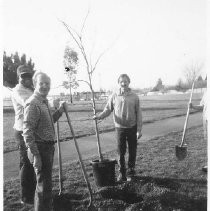 Rosemont Tree Planting