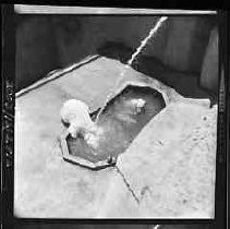 Negative, Safety, Unknown