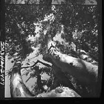 Negative, Safety, Unknown