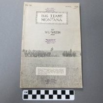 Big Teams in Montana