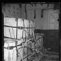 Negative, Safety, Unknown