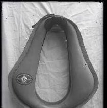 Negative, Glass Plate