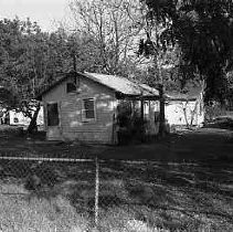 Negative, Safety, Unknown