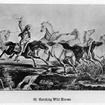 Photographs from Wild Legacy Book. Illustration, "Catching Wild Horses"