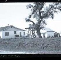 Negative, Safety, unknown